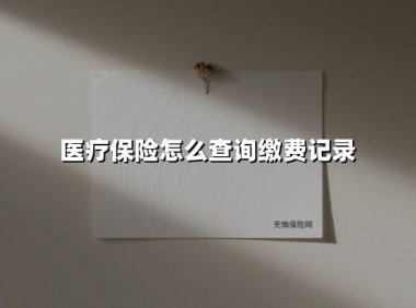 医疗保险怎么查询缴费记录(2025最新权威解答)
