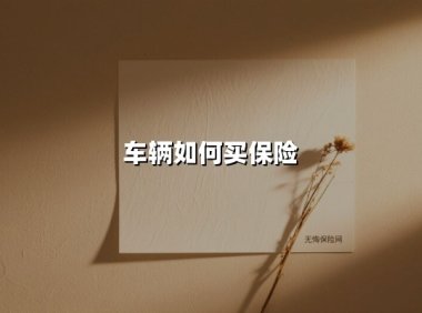 车辆如何买保险(2025最新权威解答)