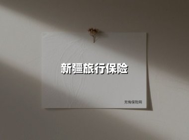 新疆旅行保险(2025最新权威解答)