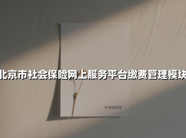 北京市社会保险网上服务平台缴费管理模块(2025最新权威解答)
