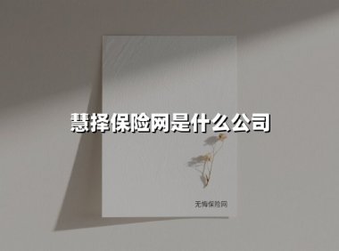 慧择保险网是什么公司(2025最新权威解答)