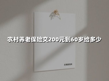 农村养老保险交200元到60岁给多少(2025最新权威解答)