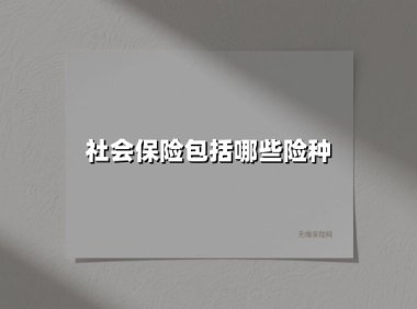 社会保险包括哪些险种(2025最新权威解答)