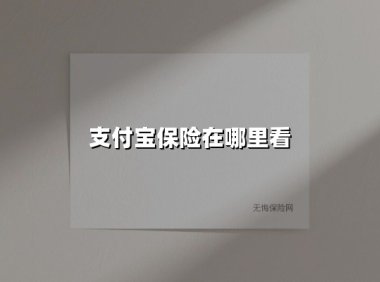 支付宝保险在哪里看(2025最新权威解答)