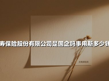 中国人寿保险股份有限公司是国企吗事用斯多少钱一个月(2025最新权威解答)