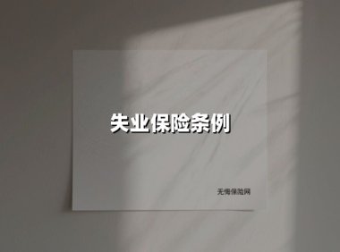 失业保险条例(2025最新权威解答)