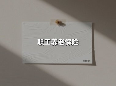 职工养老保险(2025最新权威解答)