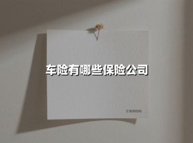 车险有哪些保险公司(2025最新权威解答)