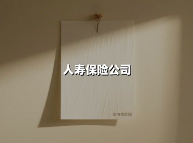 人寿保险公司(2025最新权威解答)