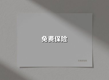 免费保险(2025最新权威解答)