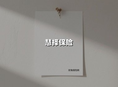 慧择保险（2025最新权威解答）