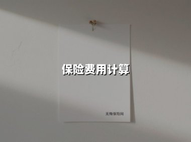 保险费用计算(2025最新)