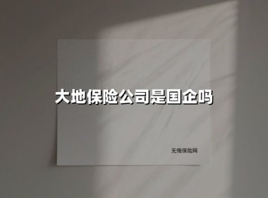 大地保险公司是国企吗(2025最新)