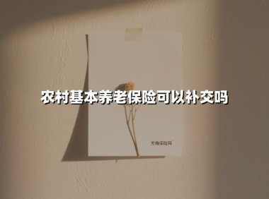 农村基本养老保险可以补交吗(2025最新)