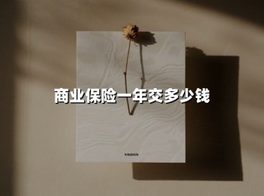 商业保险一年交多少钱(2025最新)
