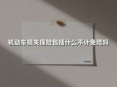 机动车损失保险包括什么不计免赔吗(2025最新)