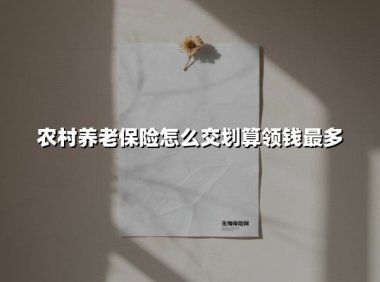 农村养老保险怎么交划算领钱最多(2025最新)