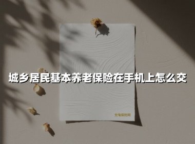 城乡居民基本养老保险在手机上怎么交(2025最新)