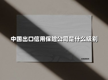 中国出口信用保险公司是什么级别(2025最新)