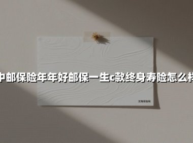 中邮保险年年好邮保一生c款终身寿险怎么样(2025最新)