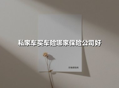 私家车买车险哪家保险公司好(2025最新)