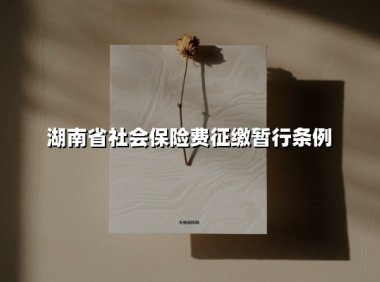 湖南省社会保险费征缴暂行条例(2025最新)