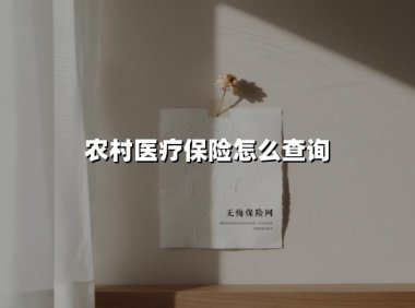 农村医疗保险怎么查询(2025最新)