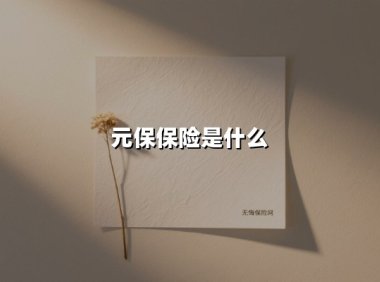 元保保险是什么(2025最新)
