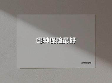 哪种保险最好