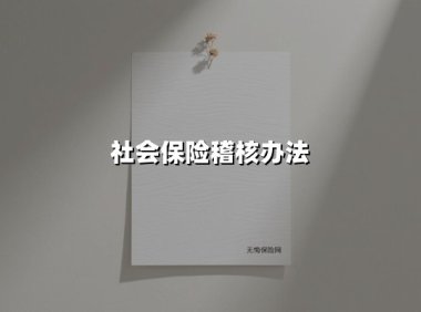 社会保险稽核办法
