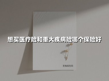 想买医疗险和重大疾病险哪个保险好