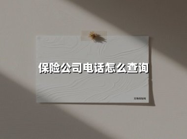 保险公司电话怎么查询