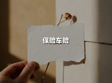保险车险