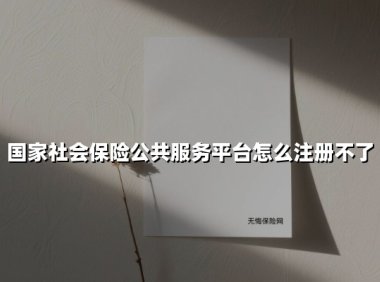 国家社会保险公共服务平台怎么注册不了