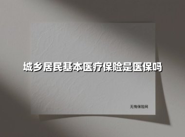 城乡居民基本医疗保险是医保吗