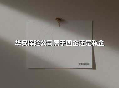 华安保险公司属于国企还是私企