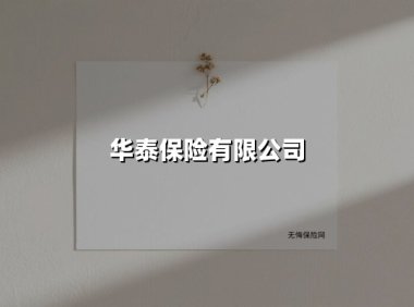 华泰保险有限公司