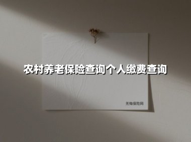 农村养老保险查询个人缴费查询