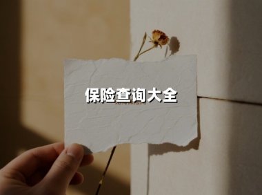 保险查询大全