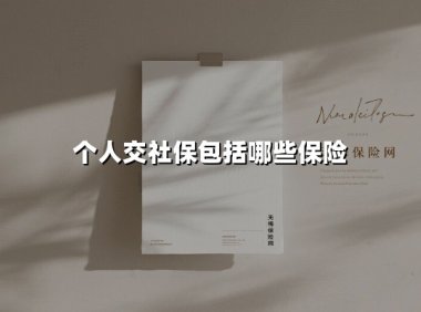 个人交社保包括哪些保险