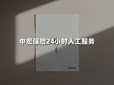 中宏保险24小时人工服务