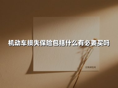 机动车损失保险包括什么有必要买吗