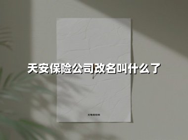 天安保险公司改名叫什么了