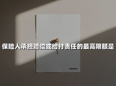 保险人承担赔偿或给付责任的最高限额是