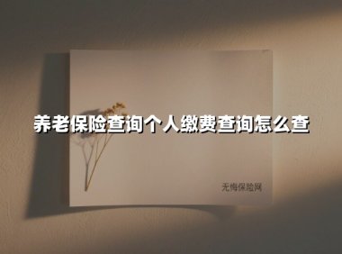养老保险查询个人缴费查询怎么查