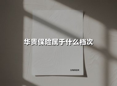 华贵保险属于什么档次