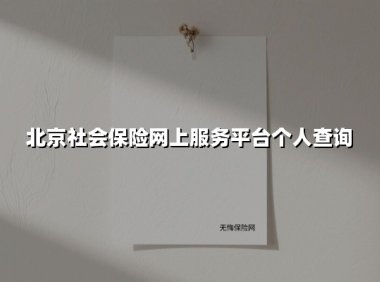 北京社会保险网上服务平台个人查询