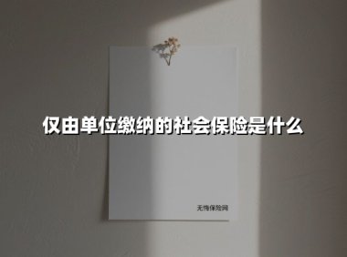 仅由单位缴纳的社会保险是什么