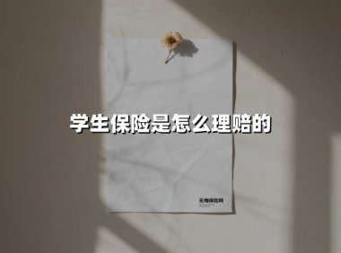 学生保险是怎么理赔的
