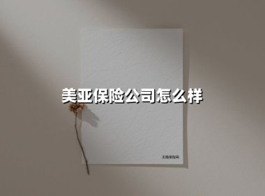 美亚保险公司怎么样